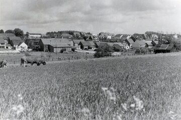 Buechenbeuren von Wahler Weg