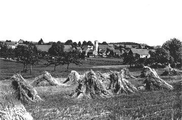 Buechenbeuren von Wahlerweg
