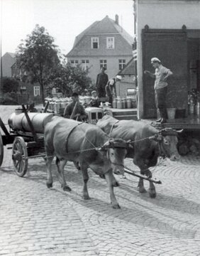 Fuhrwerk